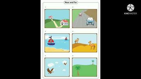 Class 1 Mathematics - Spatial understanding 2 - Video 4