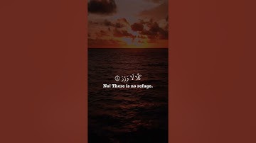 أرح قلبك .. حالات واتس اب قران كريم بصوت شريف مصطفى/ آية قرانية قصيرة راحة نفسية ستوريات انستا قرآن