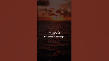 أرح قلبك .. حالات واتس اب قران كريم بصوت شريف مصطفى/ آية قرانية قصيرة راحة نفسية ستوريات انستا قرآن