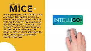 Event Organisers   Intelligo   Vii   final