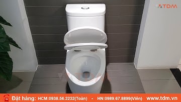 TDM.VN | Giới thiệu bàn cầu Caesar C1364 (CD1364) bồn cầu 1 khối giá bán tốt
