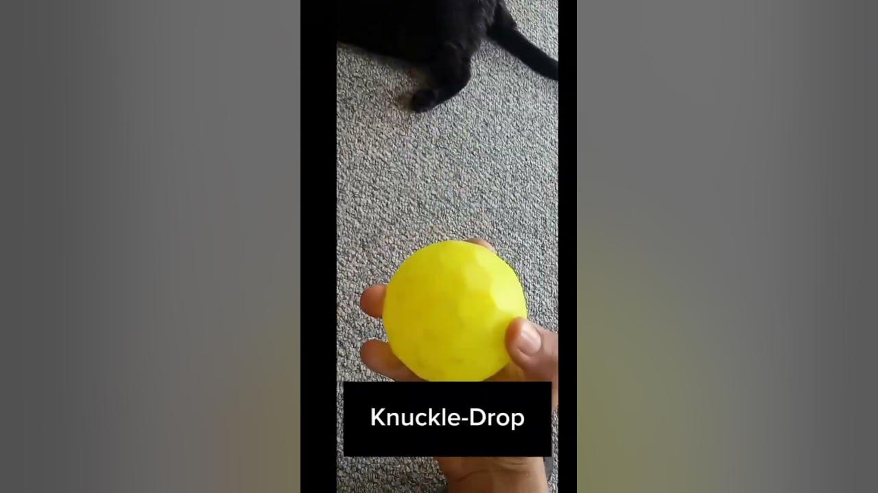 how-i-throw-my-blitzball-pitches-my-dog-is-crying-in-the-background
