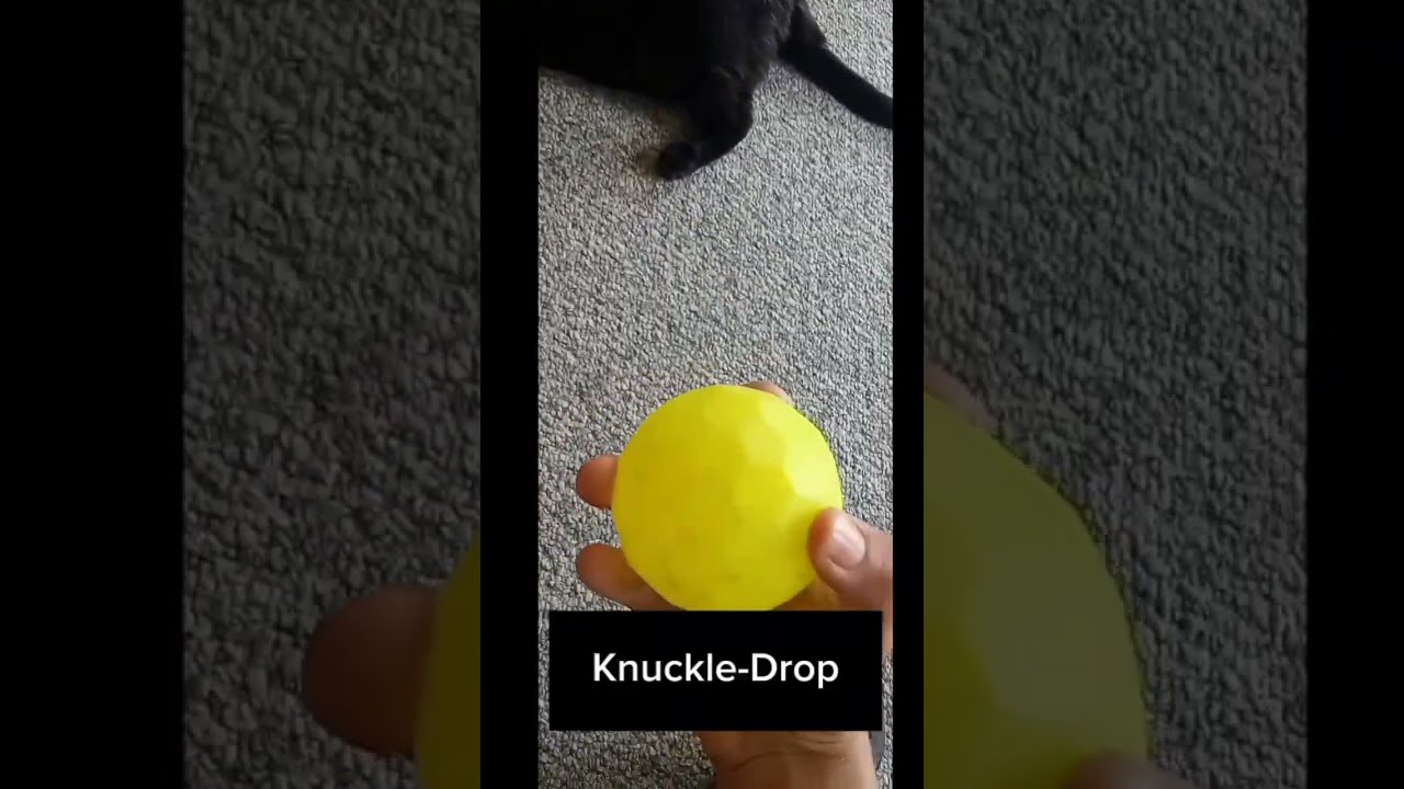 How I Throw My blitzball Pitches my Dog Is Crying In The Background How I Throw My blitzball Pitches my Dog Is Crying In The Background