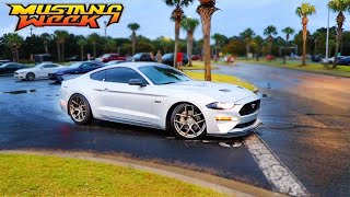 The LAST Footage of Mustang Week 2021!!