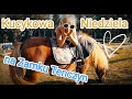 Zamek zdobyty - Kucyki opanowały Tenczyn... Kucykowa niedziela na zamku Tenczyn. Radosny Tenczynek.