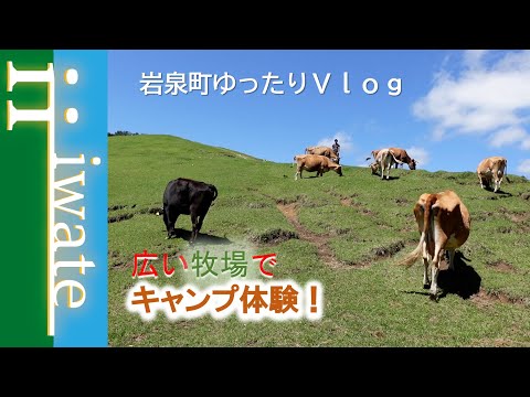 広大な中洞牧場でキャンプ体験！牛と一緒にキャンプしてみた！【宮古ユーチュー部#18】