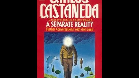 A Separate Reality 1971 by Carlos Castaneda, Chapter 7, Video 8