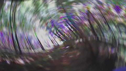 BetaFPV Beta65S Lite Tiny Whoop//Forest Whooping