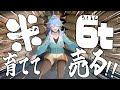 【米農家VTuber】この一粒に、一年のすべてを込めて。【ピキハイ】