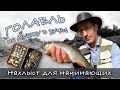 НАХЛЫСТ ДЛЯ НАЧИНАЮЩИХ: Голавль на мушку в ручье | FLY FISHING for chub