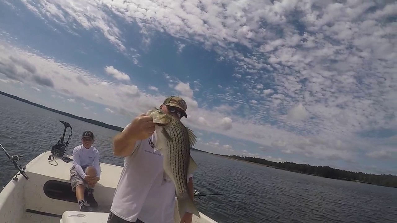 west point lake striper fishing - YouTube