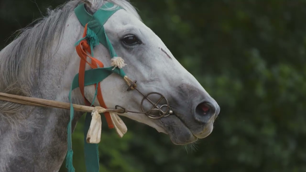 Performing Yabusame and Kasagake at the Osaka Kansai Expo 02