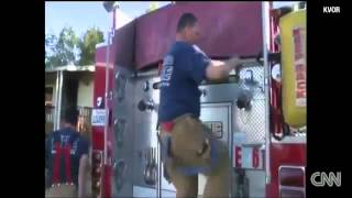 Firefighters resuscitate dogs