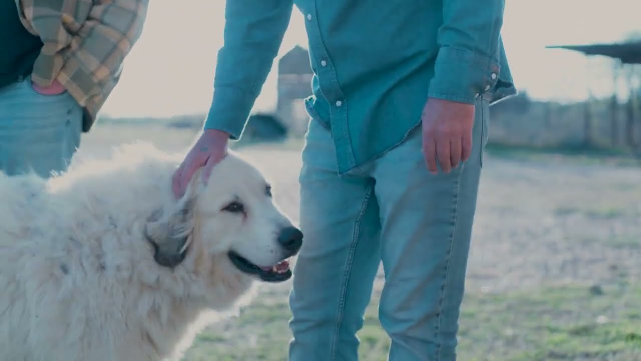 James Tollison   Southern Methodist