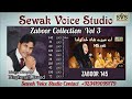 Sewak voice studio
