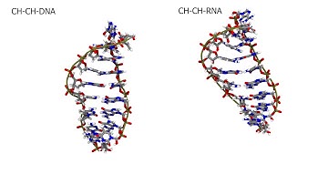 Acyclic DNA molecular dynamics simulations with a DNA and RNA duplex counter chain.