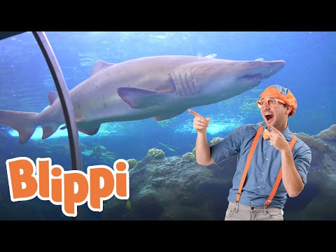 Learning Sea Animals With Blippi | 1 Hour Of Blippi | Educational Videos For Kids