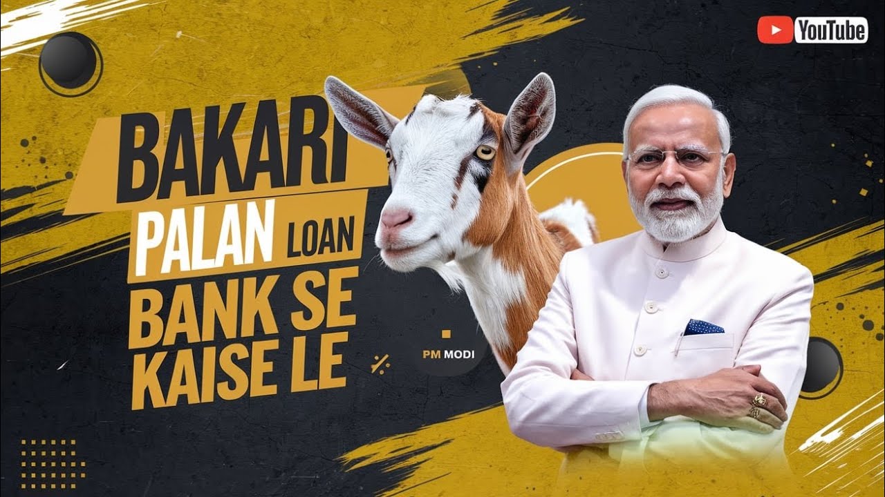 Bakri Palan Business 2024 Goat bakri-palan-business-2024-goat