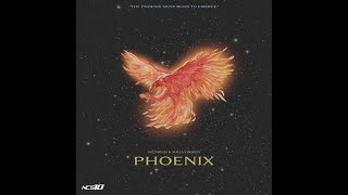 Netrum & Halvorsen - Phoenix (Official instrumental)
