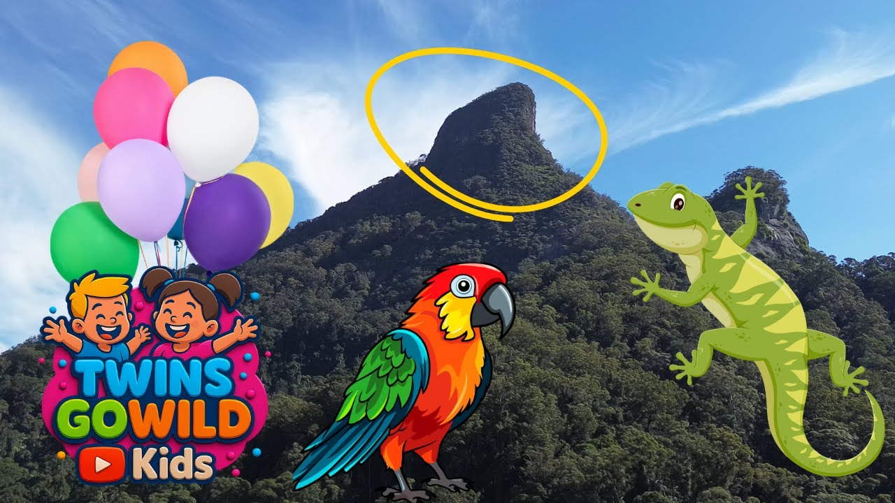 Mystery Of The Mountain: Exploring Mount Warning Near Byron Bay!