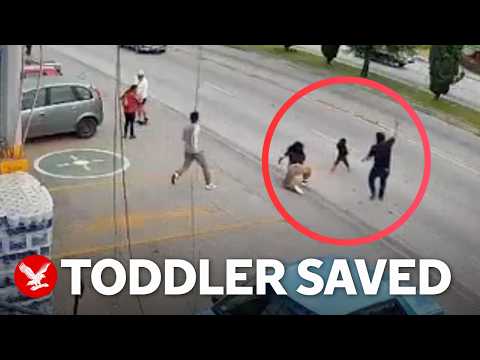 Toddler rescued after terrifying dash into oncoming traffic