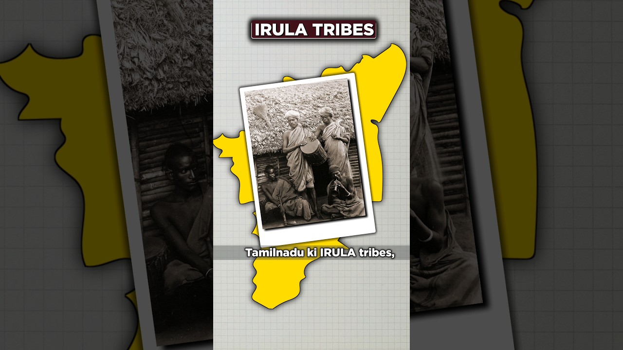 India's Unknown Irula Tribes ! 