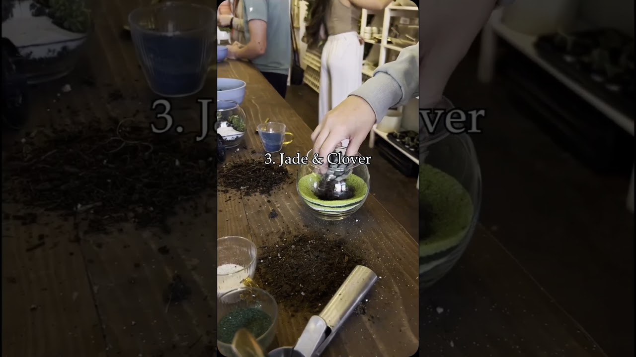 Here are 10 fun activities to beat the summer heat in Arizona!