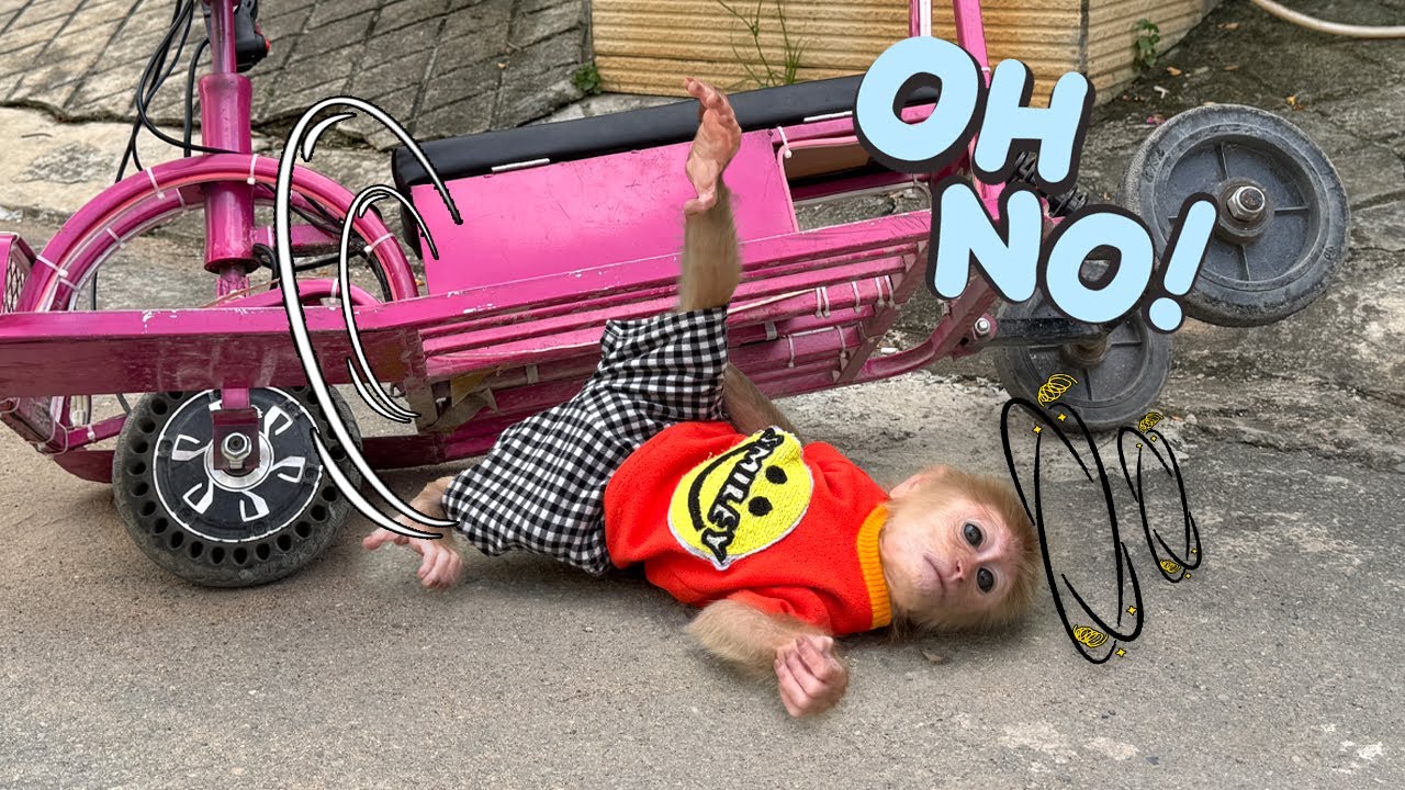 Sunny’s first time driving and the ending