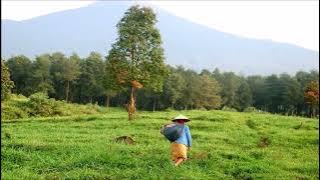DEGUNG SUNDA Enak Didengar SEDIH - Ulah Ceurik, Degung untuk Menemani Saat Santai Sendirian