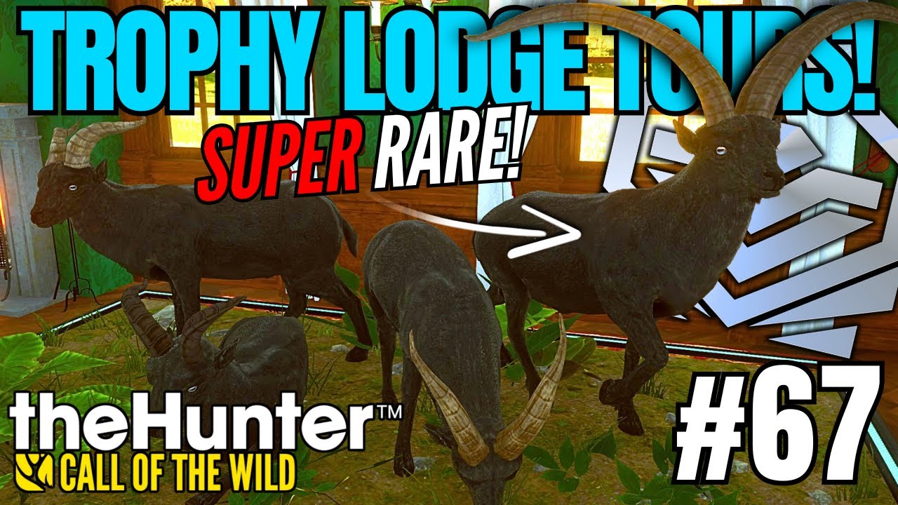 The BEST Spring Creek Manor Trophy Lodge of 2026?! (so far) Call of the Wild