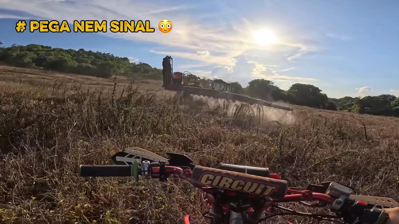 ARRENDAMOS MAIS TERRA PRA PLANTIO (agora viremo fazendeiro 🤣)