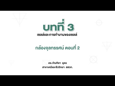 วีดีโอ: เลือกกล้องจุลทรรศน์อย่างไรให้เหมาะกับนักเรียนไม่จ่ายเกิน