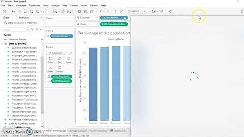 Tableau Final Project