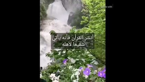 مقطع صغير من صباح الخير مع تلاوة عطرة من الذكر الحكيم