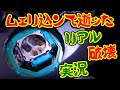 [語り] ムェリ込ンで逝ッた - Call of Duty: GHOSTS [破壊実況]