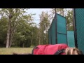 Primieval triceratops clip