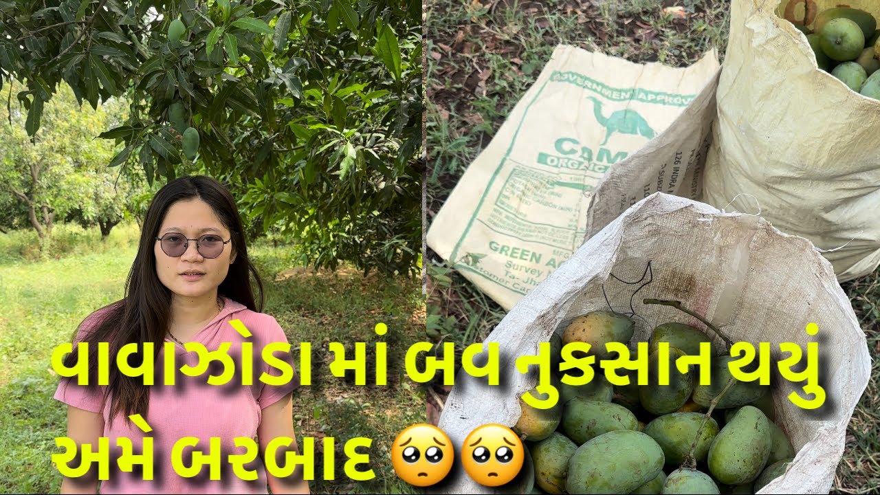 વાવાઝોડા માં બવ નુકસાન થયું અમે બરબાદ 🥺 (FULL VLOG)