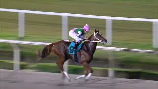 230407 c08 LINDA RUBIA (BRZ)