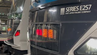 [E257系]臨時特急E257系5000番代踊り子9号.60号東京駅発着シーン2023.8.10