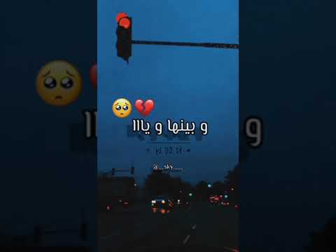 شيرا لي نبغيها 