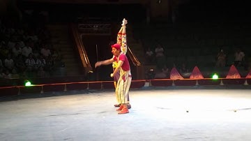 Dịch Vụ Biểu Diễn Xiếc - 0978.68.37.68