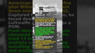Spitfire Pilot Escaped 13 Times! William Ash – The Cooler King 😱 #history #giveusourstolenmoneyback