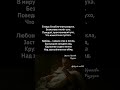 разруха