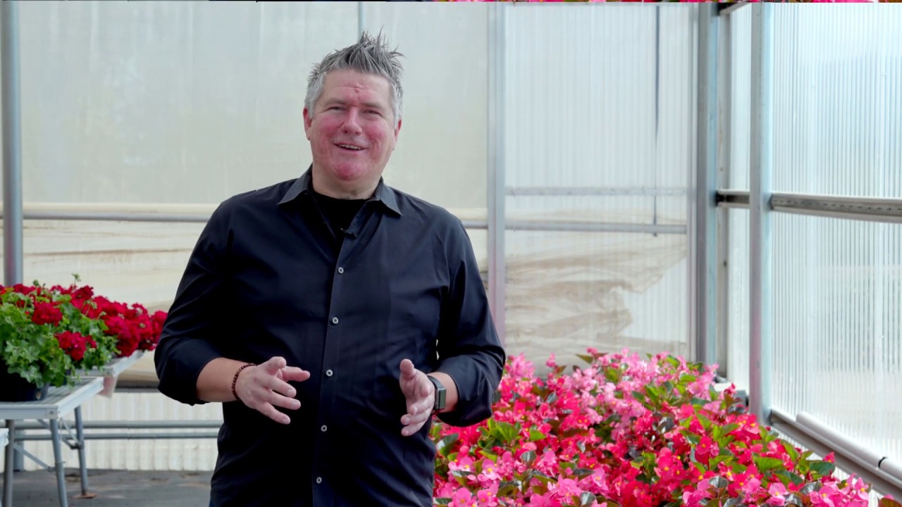 TeleCAST 2020 - BIG Begonia