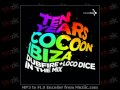 Ten Years Cocoon Ibiza mixed by Dubfire