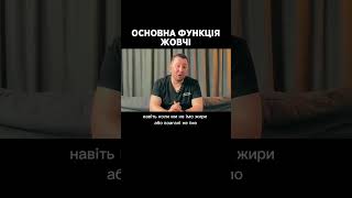 Основна функція жовчі