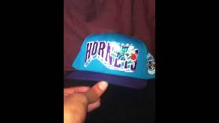 1993 VINTAGE charlotte hornets snapback