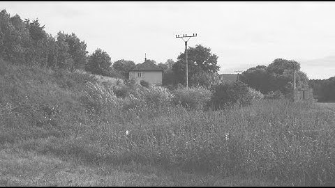 Panda Rules - Nightales #1 (Arturia Drumbrute & Bass guitar Jam)