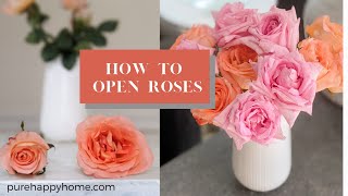 How to Get Grocery Store Roses to Open