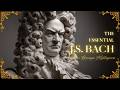 Best of J.S. Bach: The Father of Music 📜 High IQ Baroque & Intellectual Classical for Focus